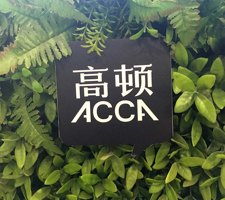 ACCA就业前景,ACCA,国际注册会计师