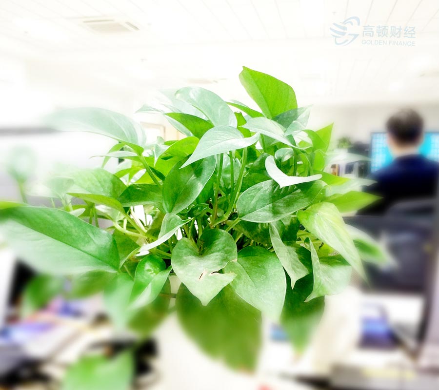 初次参加ACCA考试报名常见问题解答